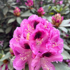 23-06-03 17-18-47 5822